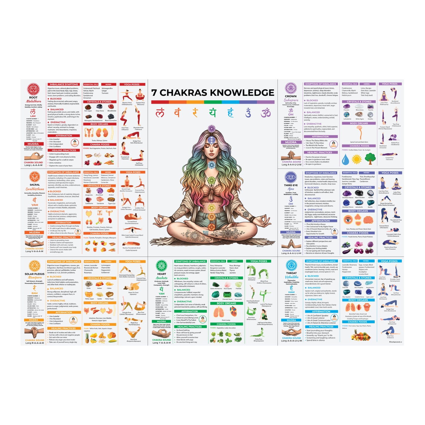 7 Chakra Knowledge Poster – Your Ultimate Guide to Balance and Wellness Healing Moments