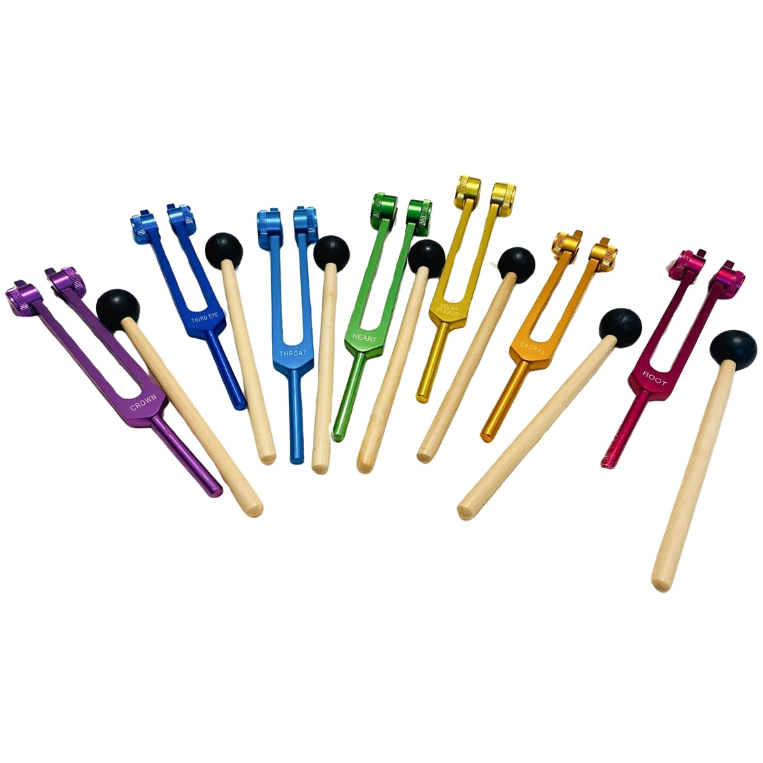 7 Chakras Weighted Tuning Forks Set Coloured Healing Moments