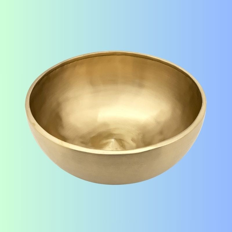 Rare Lingam Tibetan Singing Bowl for Healing and Meditation - 9 Inch Healing Moments