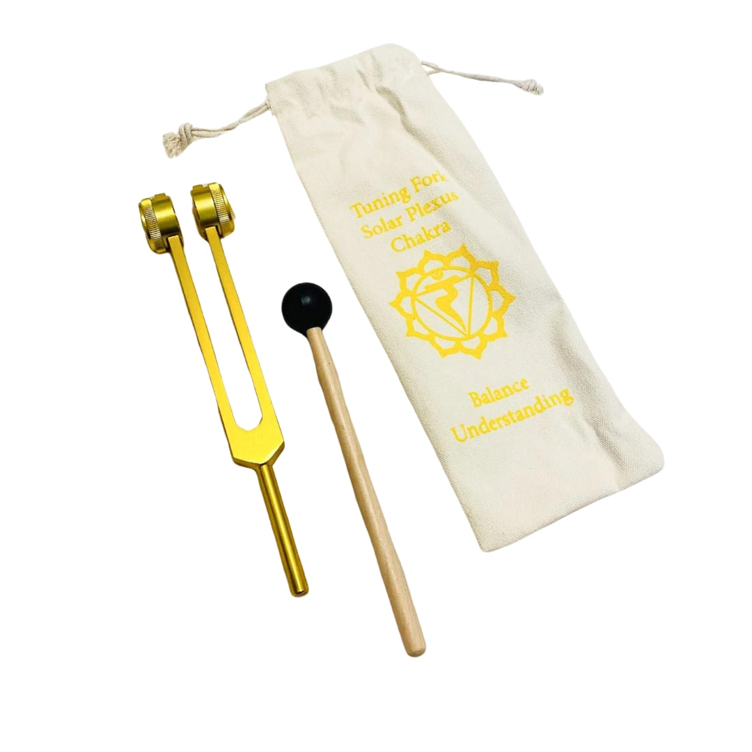 7 Chakras Weighted Tuning Forks Set Coloured Healing Moments