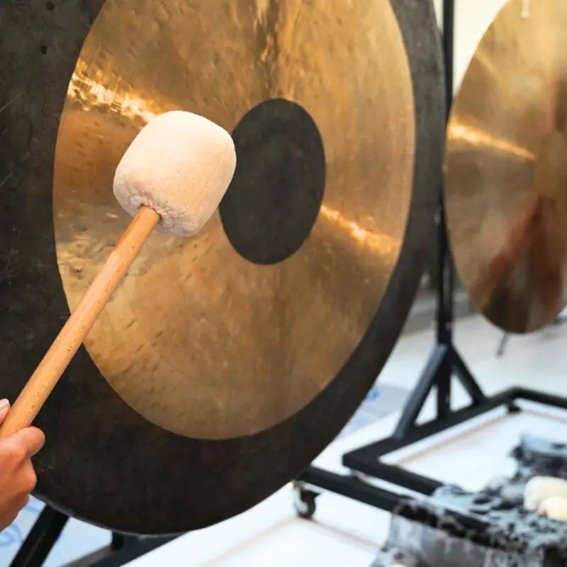 Premium Chau Gong for Sound Healing, 70 CM, 27.5" gong with Solid, Flummy, Friction & Whale Mallets Healing Moments